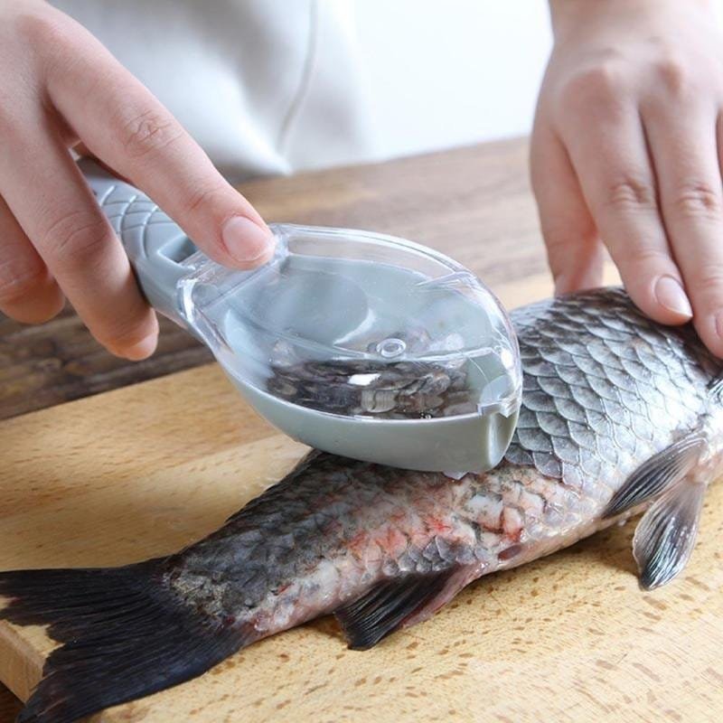 Fish-Skin-Brush-Scraping-Fishing-Scale-Brush-Graters-Fast-Remove-Fish-knife-Cleaning-Peeler-Scaler-Scraper-20210310-044804.jpg Fish Skin Scraping Fishing Scale Brush - Image 1